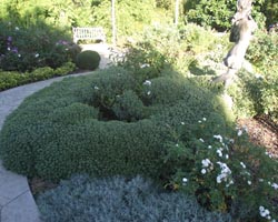 South Fulton Landscape & Nursery, Inc garden image